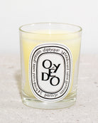 Candela Oyédo -  DIPTYQUE |  Risvolto.com